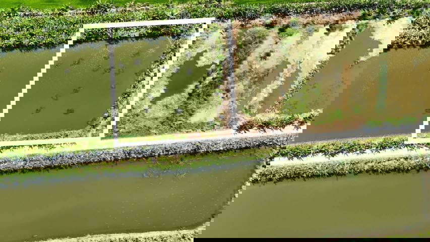 picture Land for sale, 1 rai, Soi Wat Buaroy, Samut Prakan. - 2/9