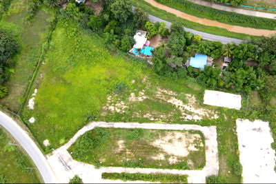 Land for sale : Land for sale, 80 square wah, U.Mae Jo, San Sai District, Chiang Mai.