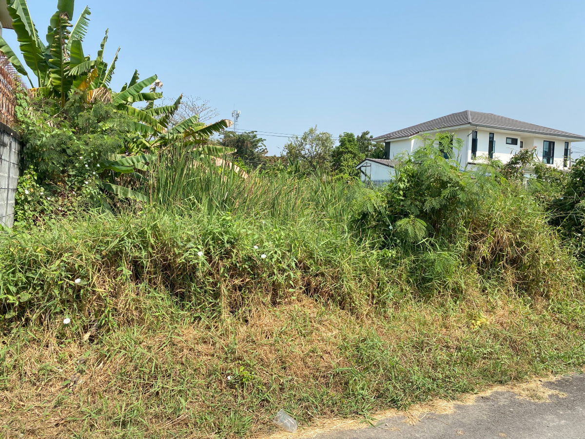 รูป ขายที่ดินทำเลอยู่อาศัย พุทธมณฑลสาย 3 ซอย 19  บรรยากาศสงบ เป็นส่วนตัว เหมาะสร้างบ้านเดี่ยว - รูปที่ 6/9