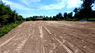 Land for sale : House with land for sale in Ban Rai Huai Phi, Thong Saen Khan, Uttaradit Province.