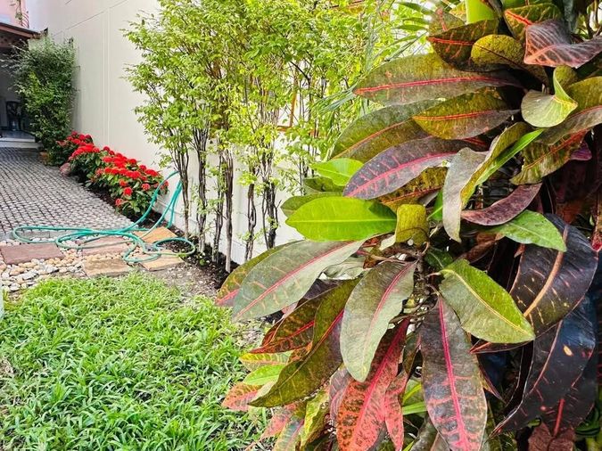4-bed townhouse for rent, 350 sqm, 33 sq wah, Chicha Castle