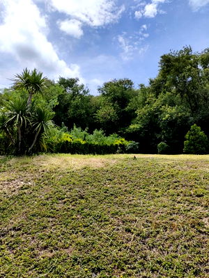 ที่ดิน ลำตะคอง : ขายที่ดินพร้อมโฉนด 1-1-32 ตร.ว. อ.ปากช่อง จ.นครราชสีมา ทำเลดี บรรยากาศร่มรื่น ด้านหลังติดภูเขา