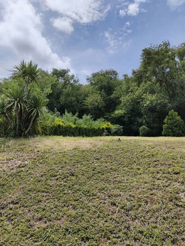 ขายที่ดินพร้อมโฉนด 1-1-32 ตร.ว. อ.ปากช่อง จ.นครราชสีมา ทำเลดี บรรยากาศร่มรื่น ด้านหลังติดภูเขา