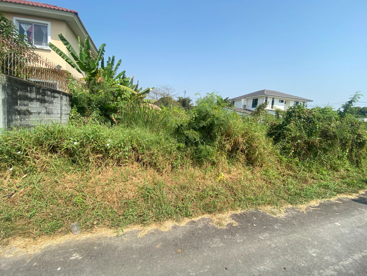 รูป ขายที่ดินทำเลอยู่อาศัย พุทธมณฑลสาย 3 ซอย 19  บรรยากาศสงบ เป็นส่วนตัว เหมาะสร้างบ้านเดี่ยว - รูปที่ 3/9