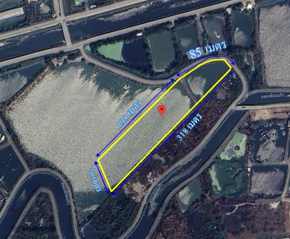 รูป ขายที่สีม่วง อีอีซี 10 ไร่เศษ  ใกล้ถนนเลียบมอเตอร์เวย์สาย 7 ใกล้นิคมอมตะ พานทอง ต.บางนาง อ.พานทอง จ.ชลบุรี - รูปที่ 7/7