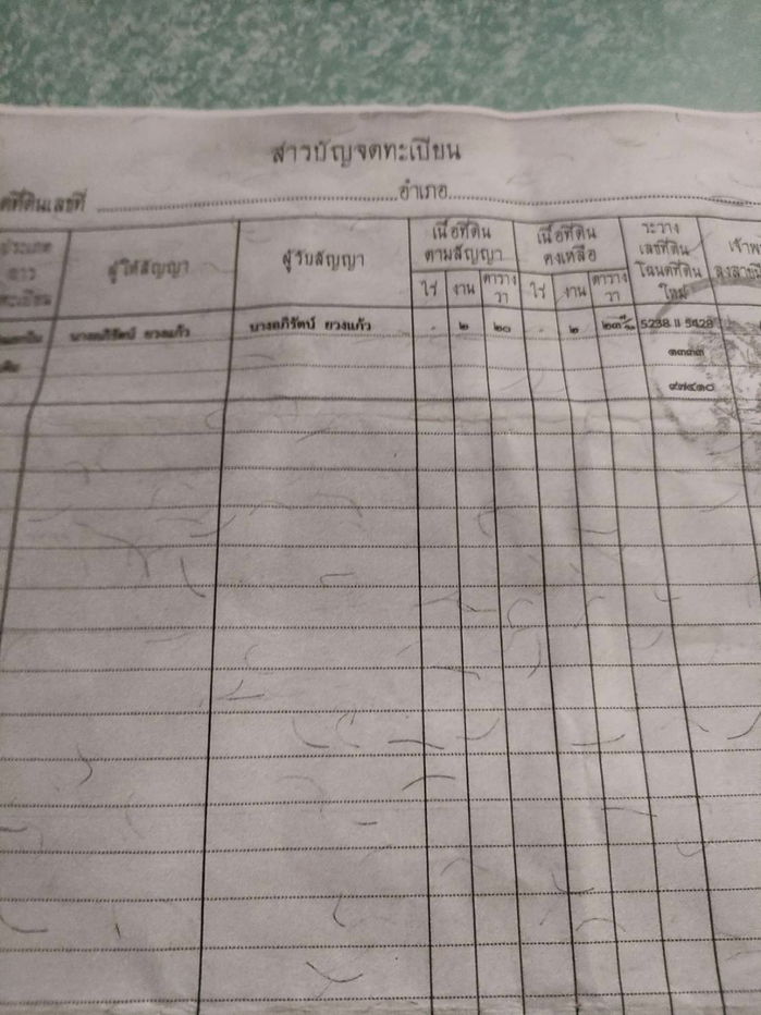 รูป ขายที่ดินพร้อมโฉนด 1-1-32 ตร.ว. อ.ปากช่อง จ.นครราชสีมา ทำเลดี บรรยากาศร่มรื่น ด้านหลังติดภูเขา - รูปที่ 10/10