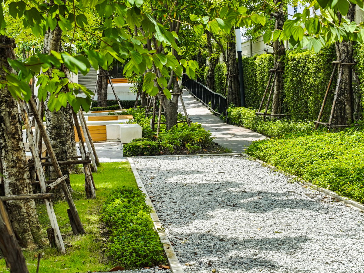 รูป ST0054 | ขาย บ้านกลางเมือง ราชพฤกษ์ 💰 ราคาเพียง 5.99 ล้านบาท - รูปที่ 54/54