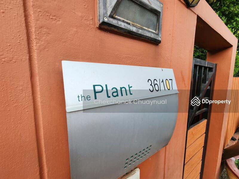 รูป ให้เช่า บ้านเดี่ยว The Plant ราชพฤกษ์ แปลงริม 69 ตารางวา 3 นอน 3น้ำ 32k/เดือน - รูปที่ 21/22