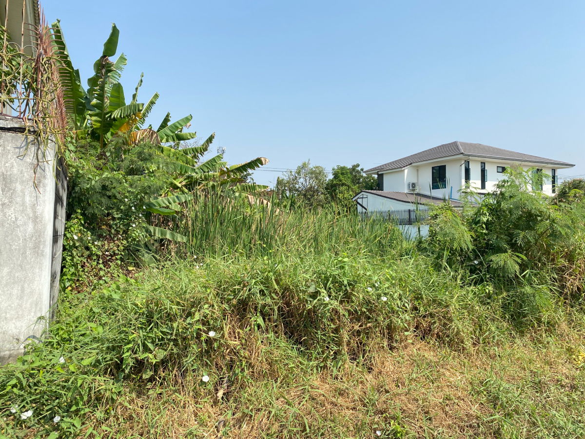 รูป ขายที่ดินทำเลอยู่อาศัย พุทธมณฑลสาย 3 ซอย 19  บรรยากาศสงบ เป็นส่วนตัว เหมาะสร้างบ้านเดี่ยว - รูปที่ 4/9