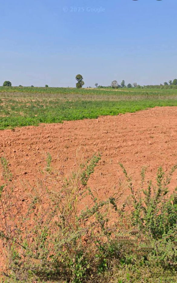 รูป ขายที่ดินตำบลลุงเขว้าหนองบุญมากจังหวัดนครราชสีมา  พื้นที่ 105-0-90ไร่โฉนด​   - รูปที่ 4/4