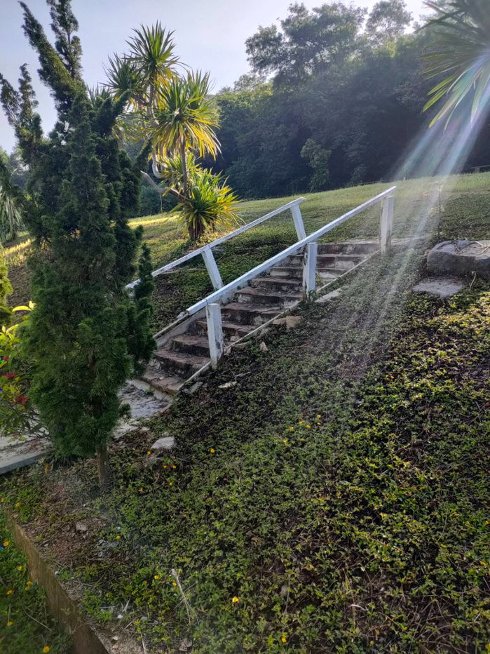 รูป ขายที่ดินพร้อมโฉนด 1-1-32 ตร.ว. อ.ปากช่อง จ.นครราชสีมา ทำเลดี บรรยากาศร่มรื่น ด้านหลังติดภูเขา - รูปที่ 7/10