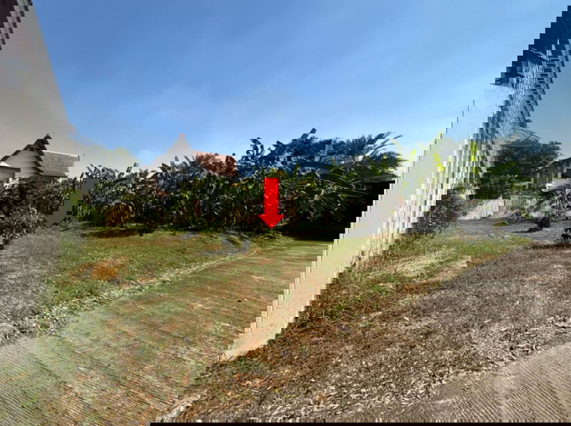 รูป ขายที่ดินเปล่า ถมแล้ว 150 ตร.ว. ติดถนน พุทธมณฑลสาย 1 ซอย 39 (ถนนซอยหลักกว้าง 10 เมตร)  - รูปที่ 6/6