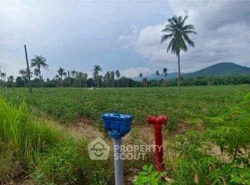 picture 81,600 m² Land for Sale in Khao Khan Song (ID 2454301) - 2/3