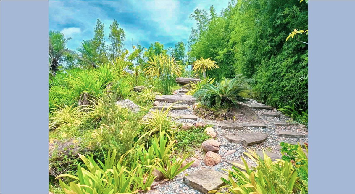 picture Thai Name - 3 Bedrooms House for sale in Panalee Banna HEPNL05 - 4/14