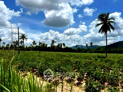 Land for sale Si Racha Chonburi : 81,600 m² Land for Sale in Khao Khan Song (ID 2454301)