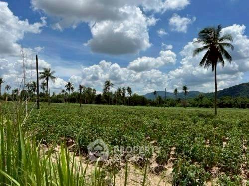 picture 81,600 m² Land for Sale in Khao Khan Song (ID 2454301) - 1/3
