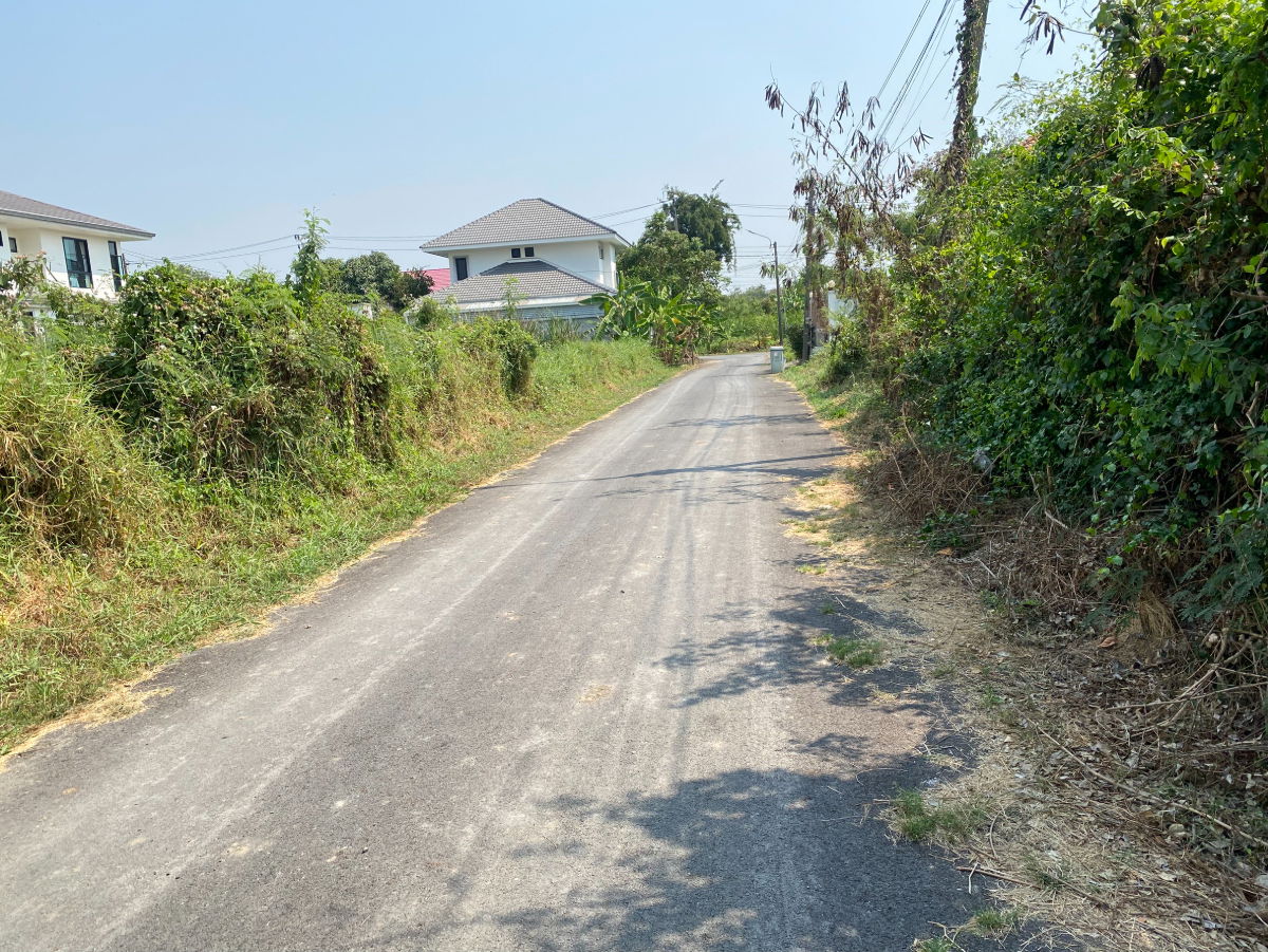 รูป ขายที่ดินทำเลอยู่อาศัย พุทธมณฑลสาย 3 ซอย 19  บรรยากาศสงบ เป็นส่วนตัว เหมาะสร้างบ้านเดี่ยว - รูปที่ 5/9