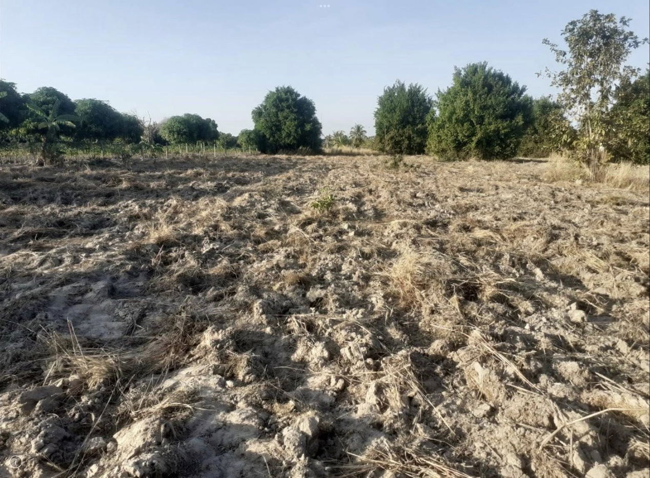 รูป Land for Sale 15 Rai – South Pattaya, Thung Klom–Tan Man - รูปที่ 3/5