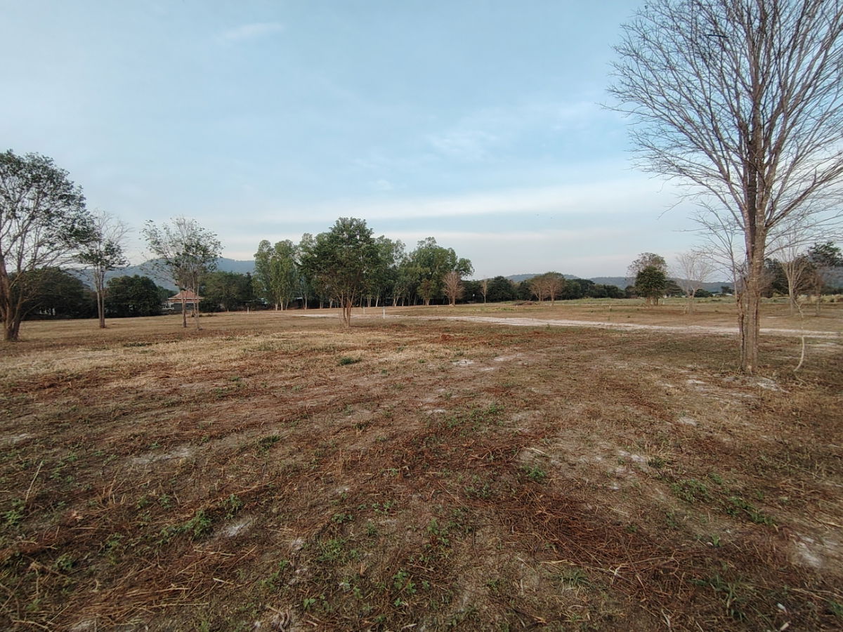 picture 1-0-0 Rai | Nice Home Building Plot  Located Near Black Mountain Golf! - 6/10