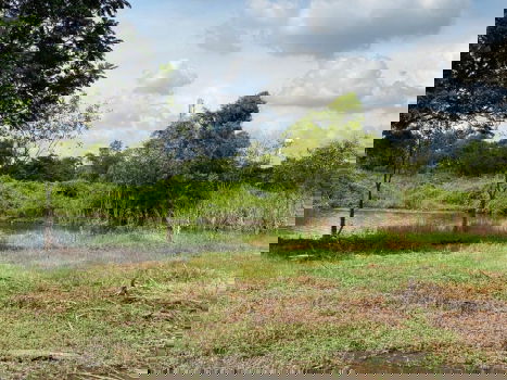 รูป ด่วน!! ขายที่ดินในสนามกอล์ฟบางปู สมุทรปราการ (เจ้าของขายเอง) - รูปที่ 6/9