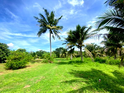 Land for sale Thap Tai, Prachuap Khiri Khan :  Land for Sale in Hua Hin, Thap Tai Prachuap Khiri Khan  Total area 27 rai 2 ngan 64 square wah. 