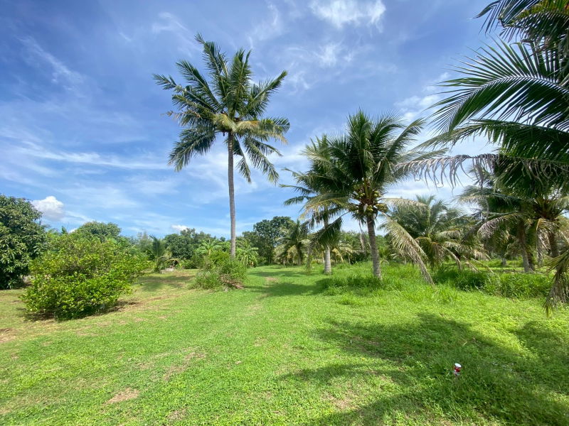 รูป ขายที่ดินสวย อำเภอหัวหิน ทับใต้ จังหวัดประจวบฯ 27 ไร่ 2งาน 64 ตารางวา เหมาะทำโครงการบ้านจัดสรร/รีสอร์ทได้ - รูปที่ 1/9