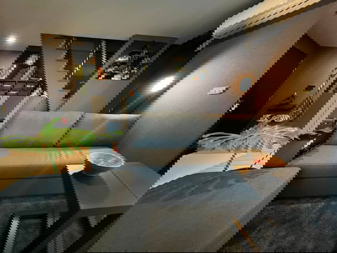 รูป 📌 ด่วน‼️ ขายขาดทุน คอนโดทำเลดี เดินทางสะดวก ✅ คอนโด แบงค์คอก ฮอไรซอน สาทร - นราธิวาส MD-25085789 - รูปที่ 5/6