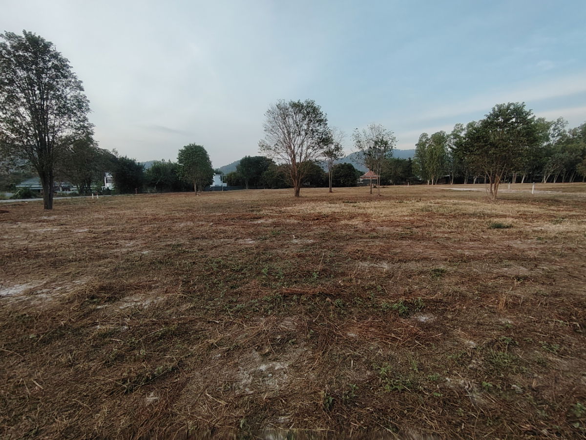 picture 1-0-0 Rai | Nice Home Building Plot  Located Near Black Mountain Golf! - 7/10