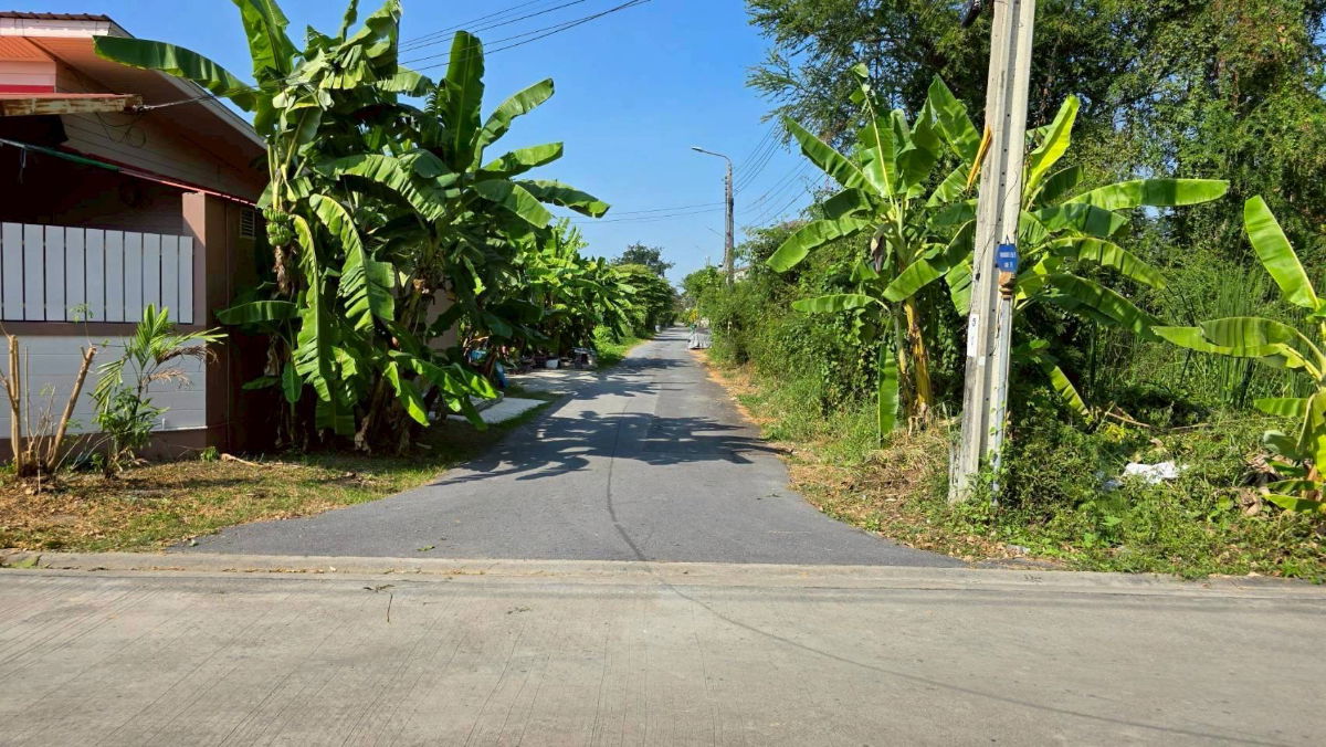 รูป ขายด่วนที่ดินพุทธมณฑลสาย 3 เนื้อที่ 57 ตรว ติดถนนลาดยาง ซ.19 แยก 16  เขตตลิ่งชัน กทม. - รูปที่ 4/10