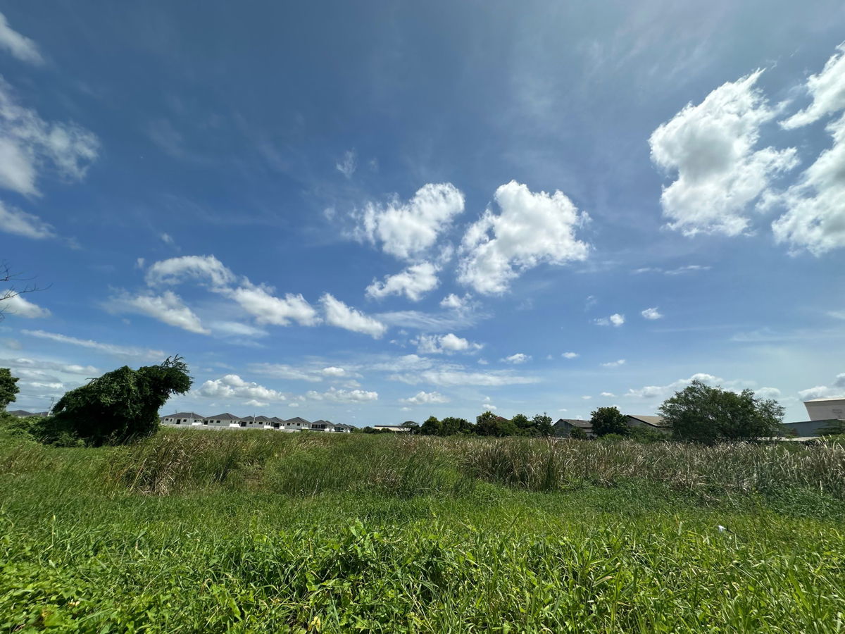รูป ให้เช่าที่ดินผืนใหญ่ ทำเลทอง – ซอยวัดพระเงิน (ถนนบางคูลัด - วัดพระเงิน) บางใหญ่ นนทบุรี – 14 ไร่ 2 งาน 41 ตร.ว. - รูปที่ 11/24