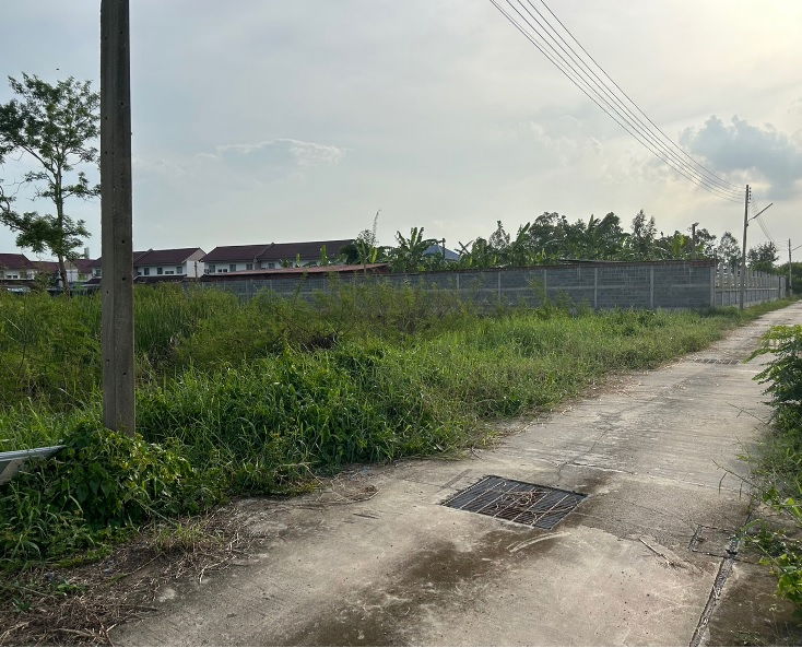 รูป ขายที่ดิน ขนาด 1 ไร่ ต.เขาพระ อ.เมือง จ.นครนายก - รูปที่ 2/2