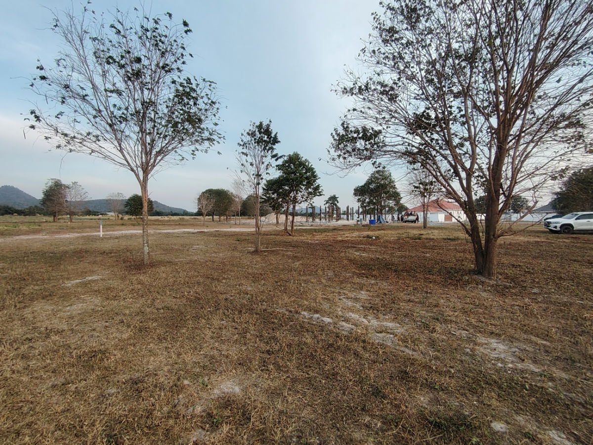 picture 1-0-0 Rai | Nice Home Building Plot  Located Near Black Mountain Golf! - 5/10