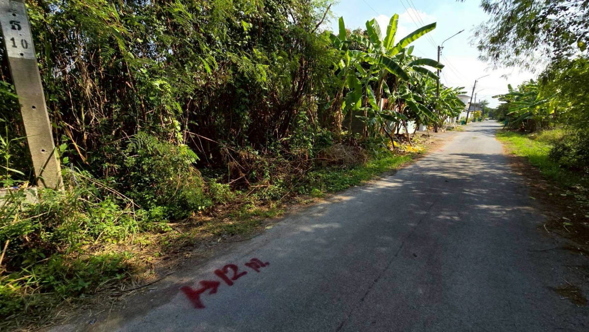 รูป ขายด่วนที่ดินพุทธมณฑลสาย 3 เนื้อที่ 57 ตรว ติดถนนลาดยาง ซ.19 แยก 16  เขตตลิ่งชัน กทม. - รูปที่ 5/10