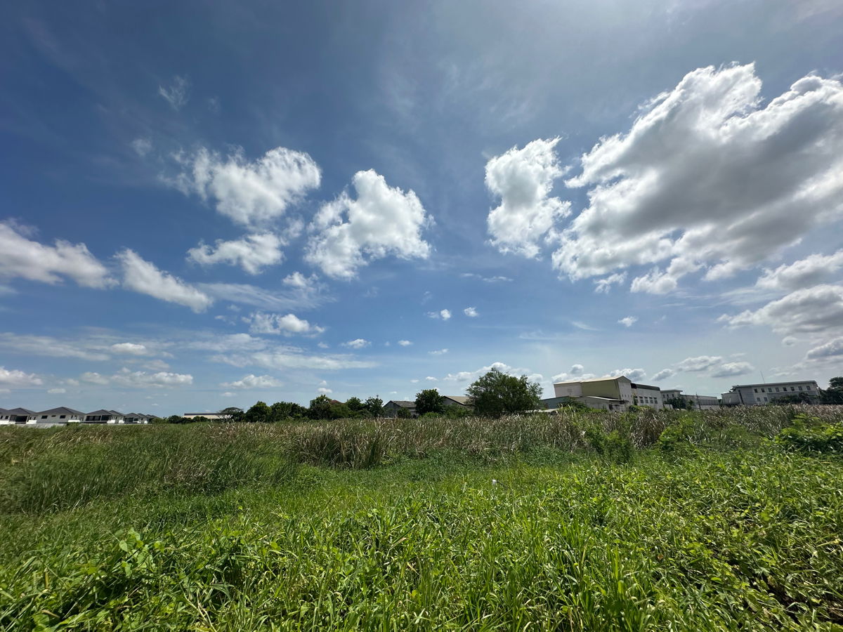 รูป ให้เช่าที่ดินผืนใหญ่ ทำเลทอง – ซอยวัดพระเงิน (ถนนบางคูลัด - วัดพระเงิน) บางใหญ่ นนทบุรี – 14 ไร่ 2 งาน 41 ตร.ว. - รูปที่ 14/24