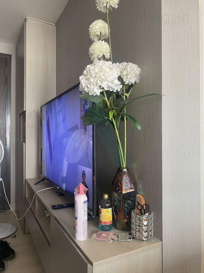 picture For Rent Condo NICHE ID SUKHUMVIT 113 Building C, Floor 8,1 bed room, Room size 28 sqm - 5/8