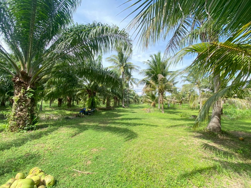 รูป ขายที่ดินสวย อำเภอหัวหิน ทับใต้ จังหวัดประจวบฯ 27 ไร่ 2งาน 64 ตารางวา เหมาะทำโครงการบ้านจัดสรร/รีสอร์ทได้ - รูปที่ 2/9