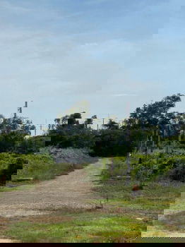 รูป ด่วน!! ขายที่ดินในสนามกอล์ฟบางปู สมุทรปราการ (เจ้าของขายเอง) - รูปที่ 7/9