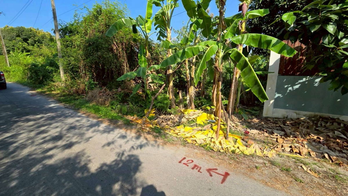 รูป ขายด่วนที่ดินพุทธมณฑลสาย 3 เนื้อที่ 57 ตรว ติดถนนลาดยาง ซ.19 แยก 16  เขตตลิ่งชัน กทม. - รูปที่ 3/10