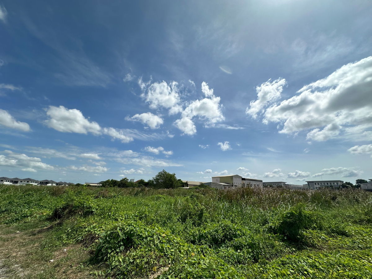 รูป ให้เช่าที่ดินผืนใหญ่ ทำเลทอง – ซอยวัดพระเงิน (ถนนบางคูลัด - วัดพระเงิน) บางใหญ่ นนทบุรี – 14 ไร่ 2 งาน 41 ตร.ว. - รูปที่ 6/24