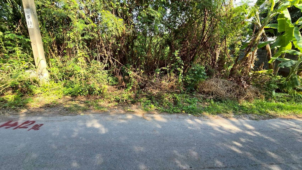 รูป ขายด่วนที่ดินพุทธมณฑลสาย 3 เนื้อที่ 57 ตรว ติดถนนลาดยาง ซ.19 แยก 16  เขตตลิ่งชัน กทม. - รูปที่ 2/10