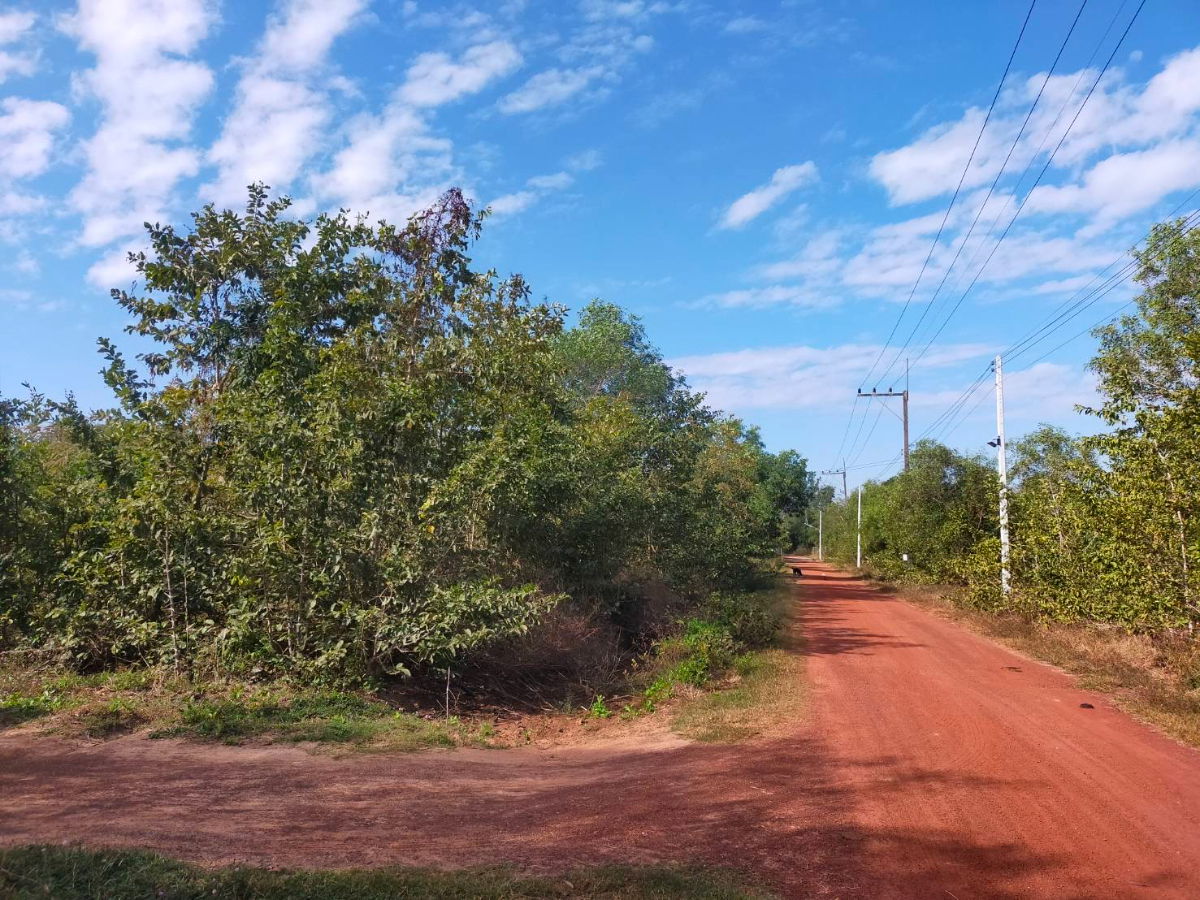 รูป [ขาย] ที่ดินทำเลทอง 120 ตร.ว. ใกล้สนามบินอุดรธานี (นาดี) ✈️ พร้อมรับประกันจาก LandCatalog - รูปที่ 5/7