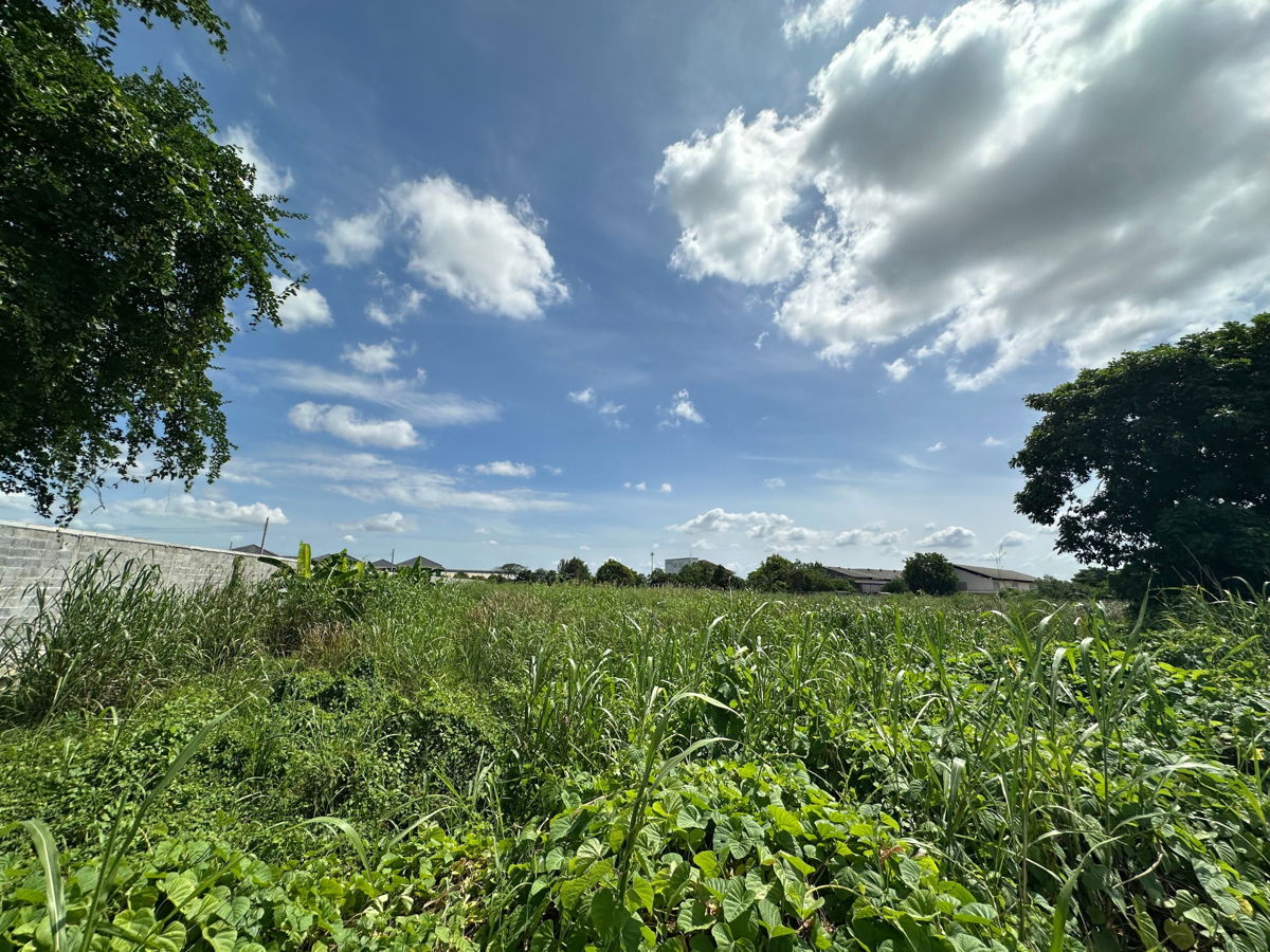 รูป ให้เช่าที่ดินผืนใหญ่ ทำเลทอง – ซอยวัดพระเงิน (ถนนบางคูลัด - วัดพระเงิน) บางใหญ่ นนทบุรี – 14 ไร่ 2 งาน 41 ตร.ว. - รูปที่ 10/24