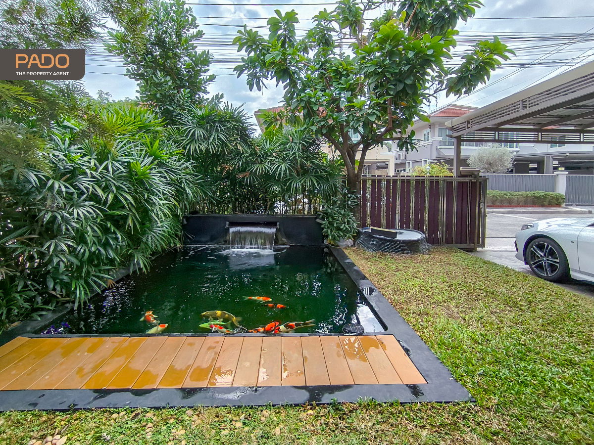 รูป ให้เช่า บ้าน ศุภาลัย พาร์ค วิลล์ รามอิทรา 5 ติด ถนนเทพรักษ์ 58 ตร.ว. 5 นอน 4 น้ำ มีบ่อปลาสวนหน้าบ้าน - รูปที่ 2/26