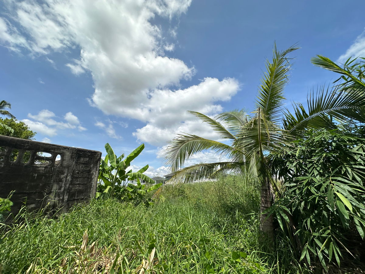 รูป ให้เช่าที่ดินผืนใหญ่ ทำเลทอง – ซอยวัดพระเงิน (ถนนบางคูลัด - วัดพระเงิน) บางใหญ่ นนทบุรี – 14 ไร่ 2 งาน 41 ตร.ว. - รูปที่ 17/24