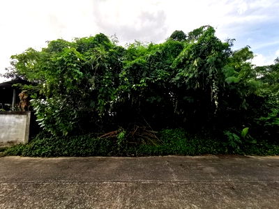 ที่ดิน สนามบินอุบลราชธานี : BP00868 ขายที่ดินว่างเปล่า ตำบลในเมือง อำเภอเมืองอุบลราชธานี อุบลราชธานี