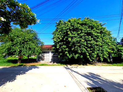 Houses for sale : FOR SALE  HOUSE PROPERTY  16571000 BAHT.