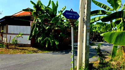 ที่ดิน สถานีขนส่งกรุงเทพฯ (สายใต้ใหม่) : ขายด่วนที่ดินพุทธมณฑลสาย 3 เนื้อที่ 57 ตรว ติดถนนลาดยาง ซ.19 แยก 16  เขตตลิ่งชัน กทม.