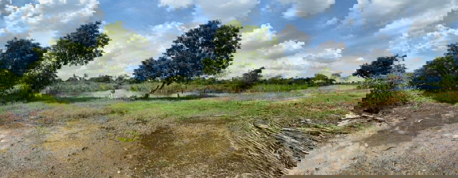 รูป ด่วน!! ขายที่ดินในสนามกอล์ฟบางปู สมุทรปราการ (เจ้าของขายเอง) - รูปที่ 5/9