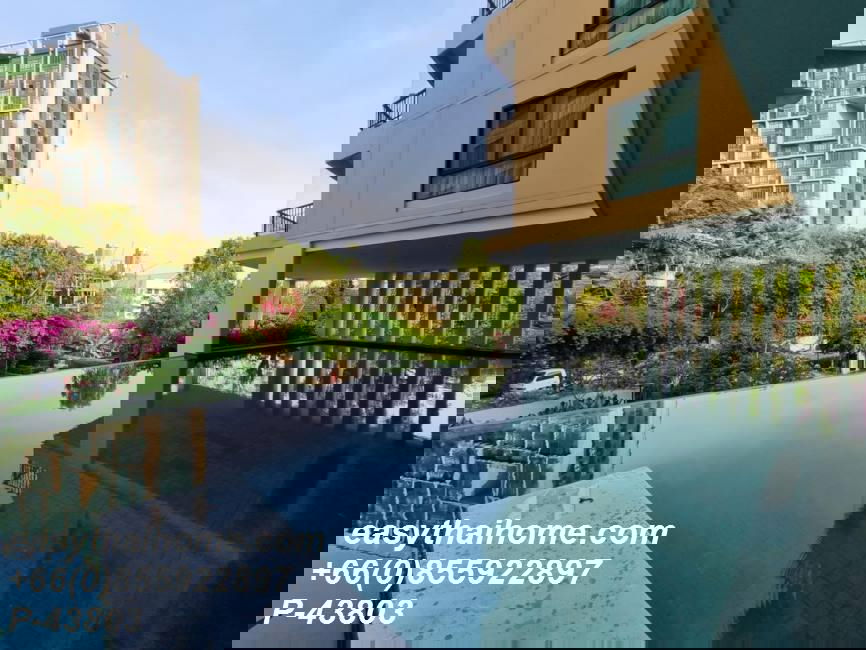 picture  P-43803 Condo for sell Sense Sukhumvit fully furnished. - 6/14