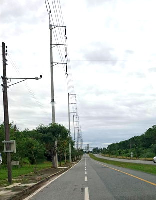 ที่ดิน พานทอง ชลบุรี : ขายที่สีม่วง 4,5,6 ไร่ ต.บางนาง ต.บ้านเก่า ต.พานทอง  จ.ชลบุรี